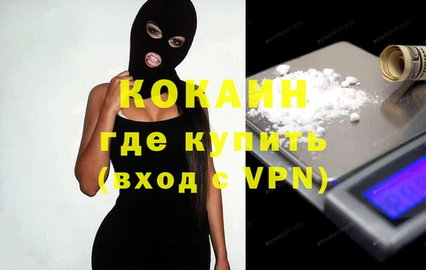прущие грибы Абаза