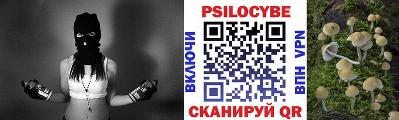 Псилоцибиновые грибы Psilocybe  наркота  Орёл 